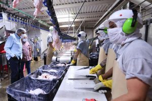 Maduro: tendremos un crecimiento del 9% del PIB