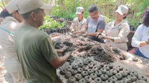 Preparan jornada de reforestación en La Guaira