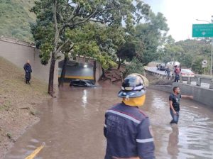 Recogen árboles y liberan vías tras lluvias en Caracas