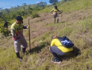 Sembrados 400 nuevos árboles en el cerro Mata Seca estado Aragua