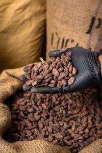 Venezuela exporta otras 100 toneladas de cacao a Rusia