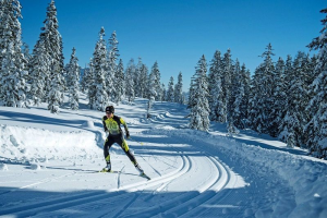 Javier Marcano Tabata