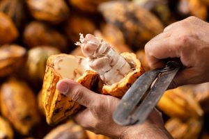 ¿Cuál es el mayor productor de cacao y en qué puesto está Venezuela?