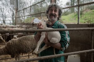 'Animal' es una comedia tan fresca y encantadora que es difícil no verla del tirón. La serie de Netflix con Luis Zahera es una combinación de humor y ternura irresistible