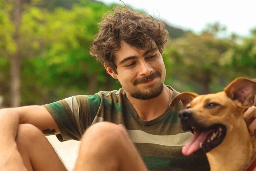 Hoy en Netflix, una película entrañable que ya es número 1 en España. Una historia conmovedora sobre un problema real con un perro como protagonista
