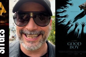 Un ejercicio de empatía que transforma la mirada de un perro en una película única. Por qué 'Good Boy' "redefine el cine de terror contemporáneo"