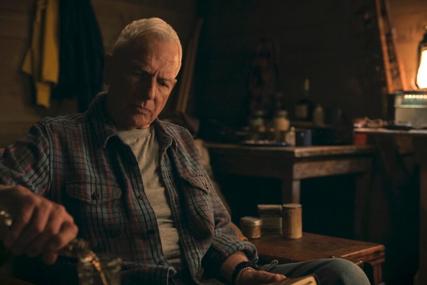 "Gibbs ya no está solo"