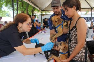 Abren Oficina de Protección Animal en Turmero