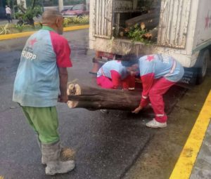 Cordonazo de San Francisco se adelantó este año