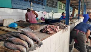 Deltanos disfrutan de los peces revueltos con la bajada del río Orinoco