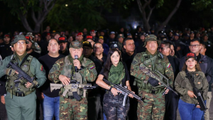 'Ampliamos la defensa en Aragua, Falcón y Zulia'