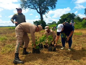 En Anzoátegui sembraron 4.800 árboles contra el cambio climático