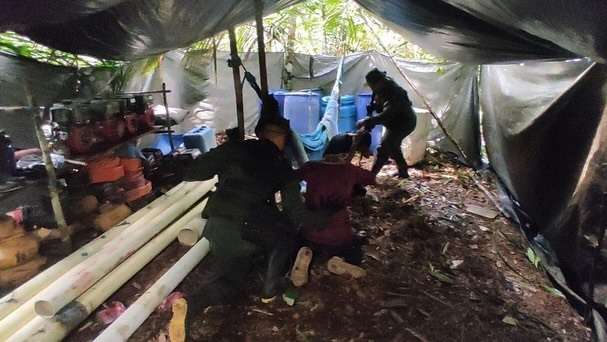 Fanb desmantela dos campamentos ilegales en el estado Amazonas