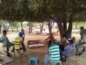 Granja Escuela en Cabimas produce maní y hortalizas