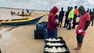 Impulsan exportación de medusa hacia China