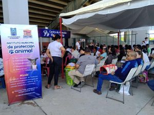 Jornada de castración en el Zulia y Cojedes por el día de los animales