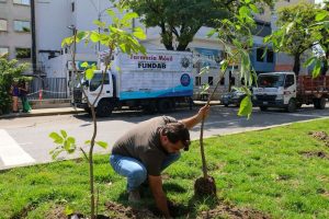 Plantan 200 árboles en diferentes zonas de Maracay
