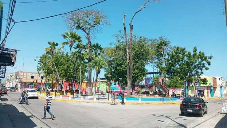 TSJ anuló sentencia que favoreció a dos detectives