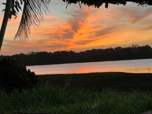 Tucupita: la puerta de entrada a la selva deltana