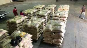 Venezuela exporta casi 3.000 quintales de café verde a Italia y EEUU