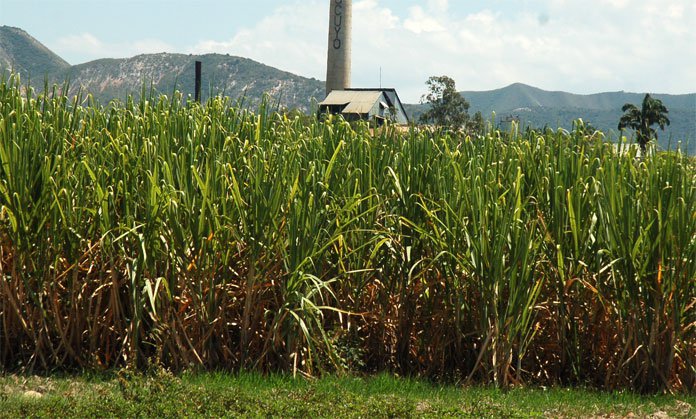 cuatro centrales azucareros pasaron a manos del sector privado en alianza con el Ejecutivo nacional