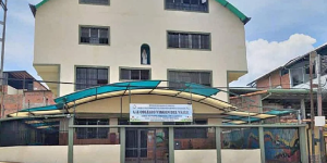 ¡Horror en Táchira! Por un reto viral de TikTok joven hirió con un cuchillo a tres personas en colegio