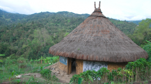 Wilson Alexander Pabon Barreto