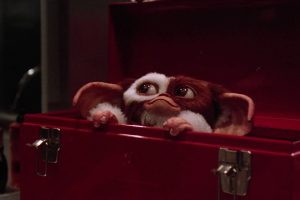 'Gremlins 3' al fin recibe luz verde. Steven Spielberg y Chris Columbus capitanearán la película 35 años después de 'La nueva generación'