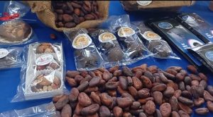 Apalancarán la producción y comercialización del cacao en Sucre