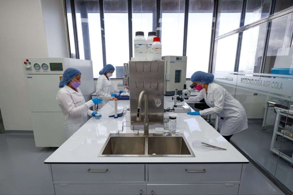 Biotecnología agrícola a prueba de clima