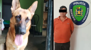 Lo detienen en Mérida por abuso sexual contra la perrita de su vecina