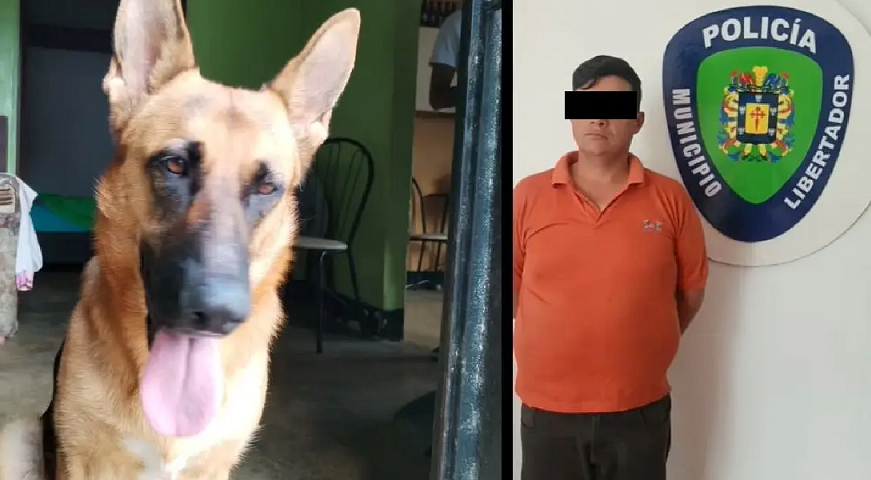 Lo detienen en Mérida por abuso sexual contra la perrita de su vecina