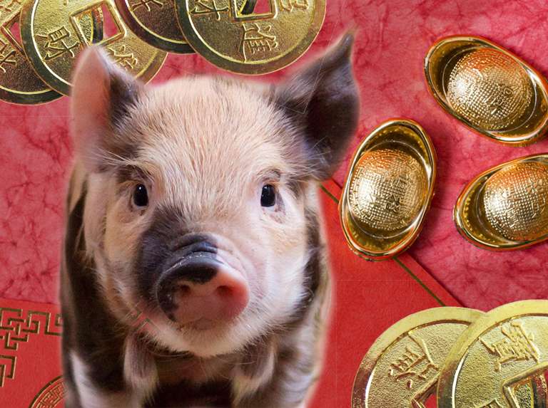 El Cerdo en la astrología china