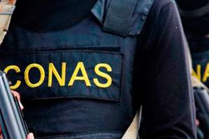 El Conas incautó 42 cartuchos a una mujer