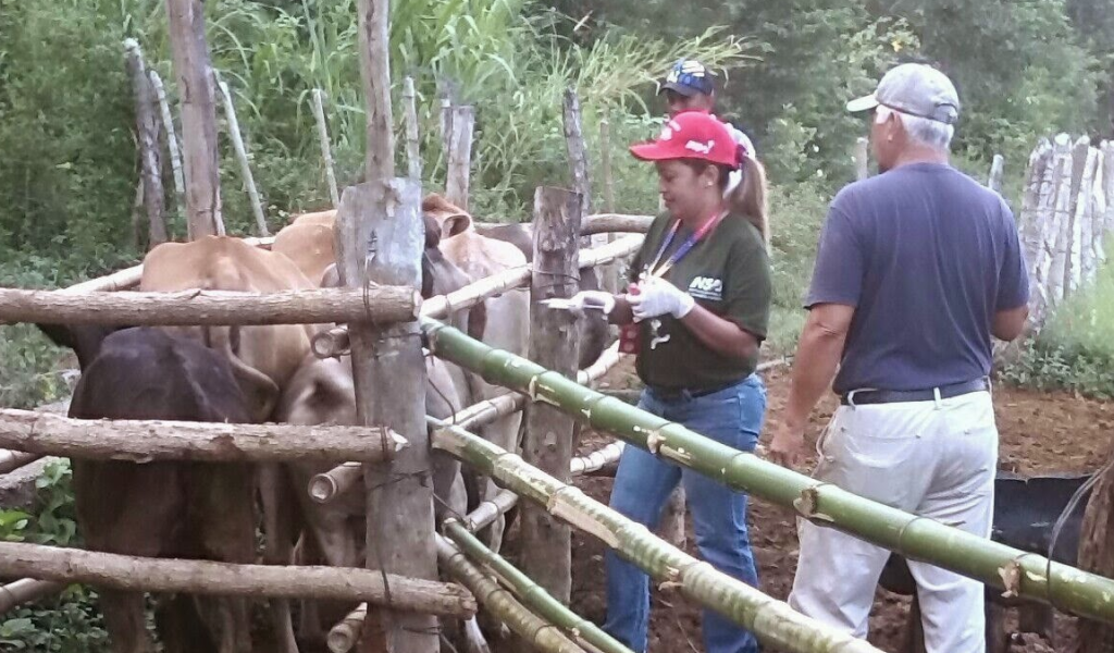 En Falcón más de 174.000 animales van al segundo ciclo de vacunación