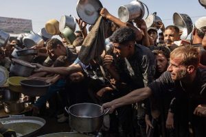 FAO: 87% de las tierras de cultivo en la Franja de Gaza están dañadas