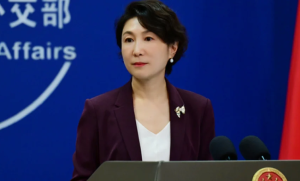 'Nuestra cooperación con Venezuela no apunta a ningún tercero'