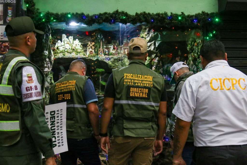 Minec despliega 3.040 funcionarios para evitar comercialización del musgo