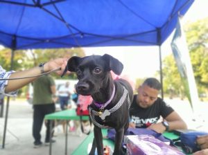 Misión Nevado y Protección Animal atienden mascotas en San Francisco