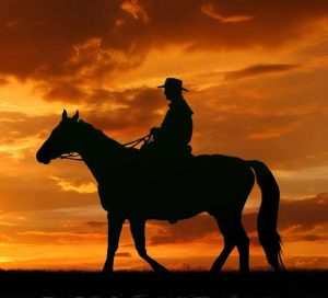 Punto criollo: El caballo y el llanero