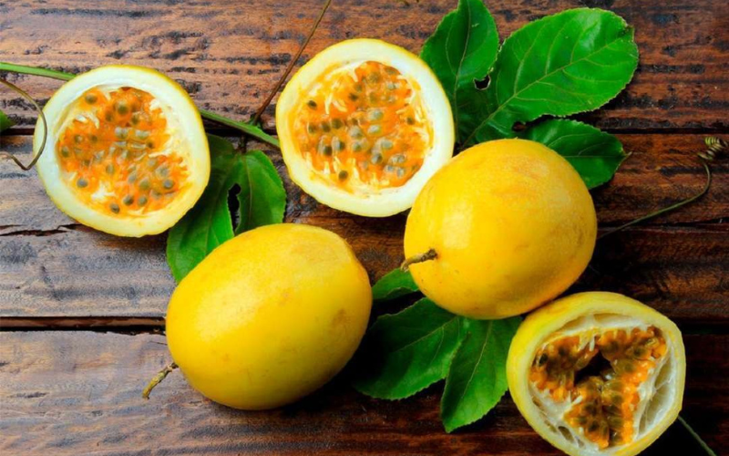 Siembra de parchita - Últimas Noticias