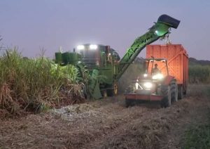 "Viento en popa" va la zafra de caña en Portuguesa