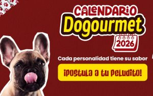 Dogourmet lanza su edición 2026 del calendario más pet friendly de Venezuela