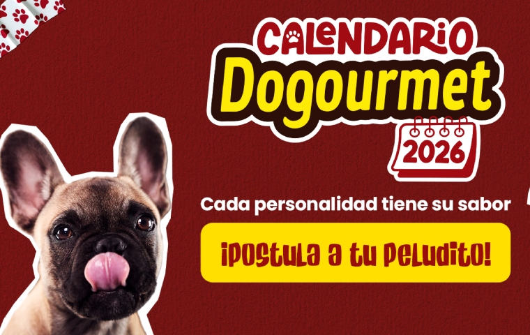 Dogourmet lanza su edición 2026 del calendario más pet friendly de Venezuela