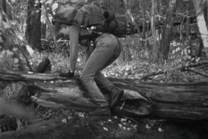 Hoy en Netflix, un clásico del cine de terror que marcó un antes y después. Un ejercicio de tensión pura que revolucionó el género con recursos mínimos