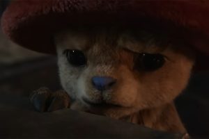 el live action de Netflix pone rumbo definitivo al Grand Line