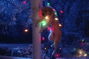 Hoy en streaming, el cuento de Navidad más gamberro de los 80. Todo un clásico del cine familiar que sigue siendo irresistible