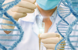 Ocho misterios del pasado que la ciencia logró descifrar en 2025