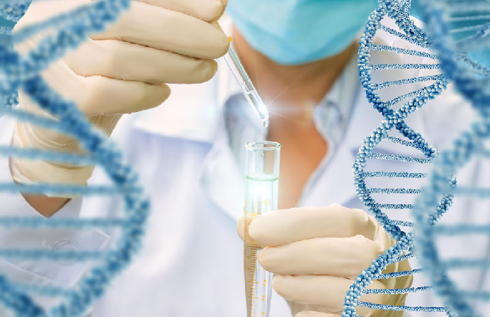 Ocho misterios del pasado que la ciencia logró descifrar en 2025