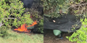 La FANB destruyó aeronave clandestina en Apure durante operaciones fronterizas